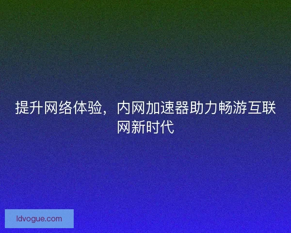提升网络体验，内网加速器助力畅游互联网新时代