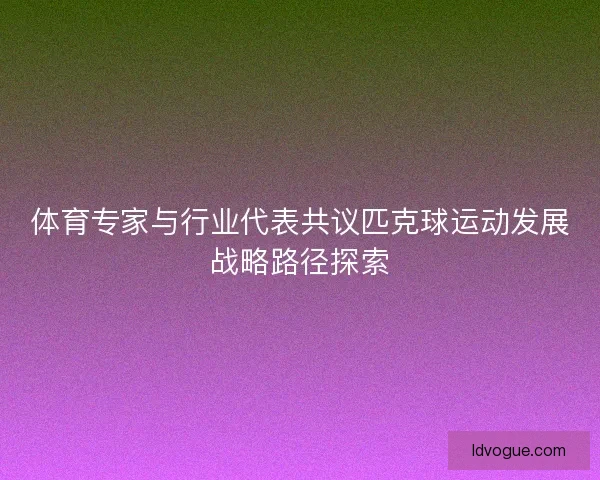 体育专家与行业代表共议匹克球运动发展战略路径探索